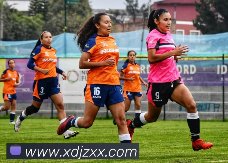 App Interface Preview