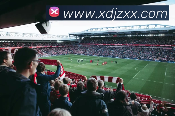 9游会j9国际站官网APP 封面图